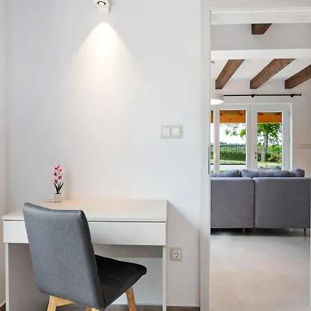 In With Terrace Buzet